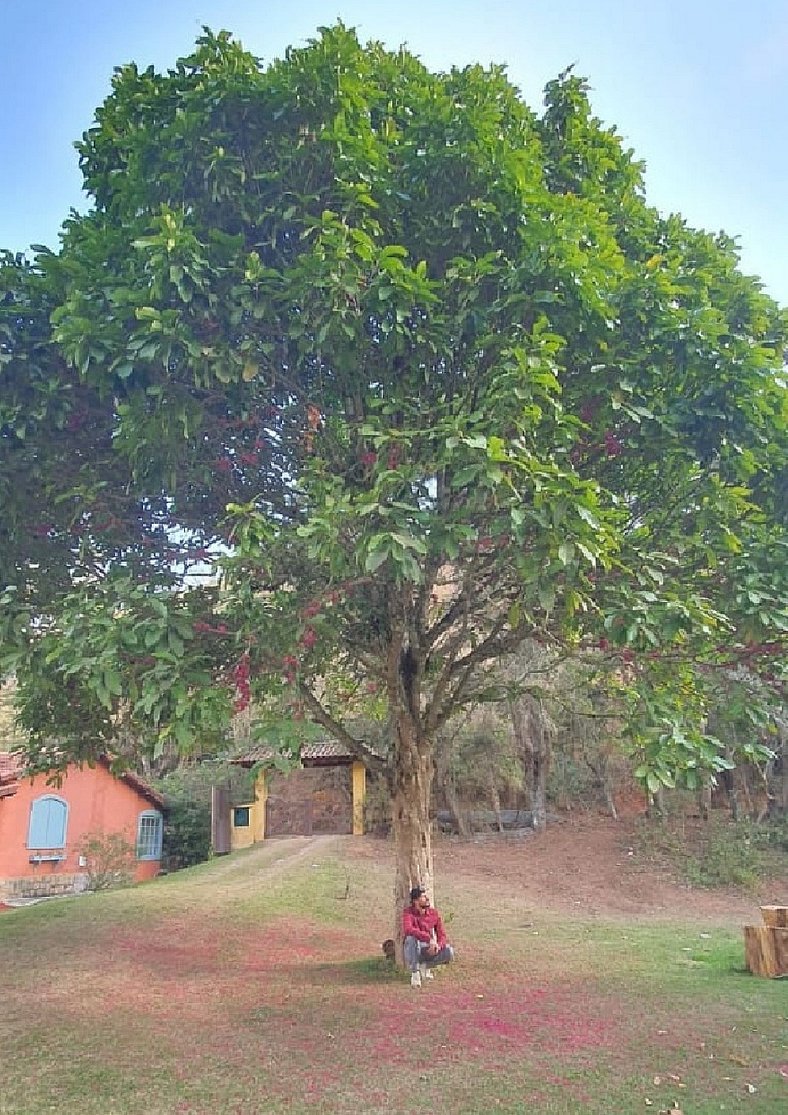 Churrasqueira, hidromassagem e lareira